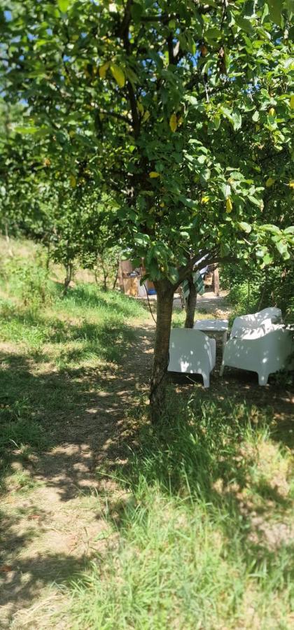 Casageo Cheile Nerei Villa Sokolar Eksteriør bilde
